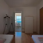 Apartmán Petra *
